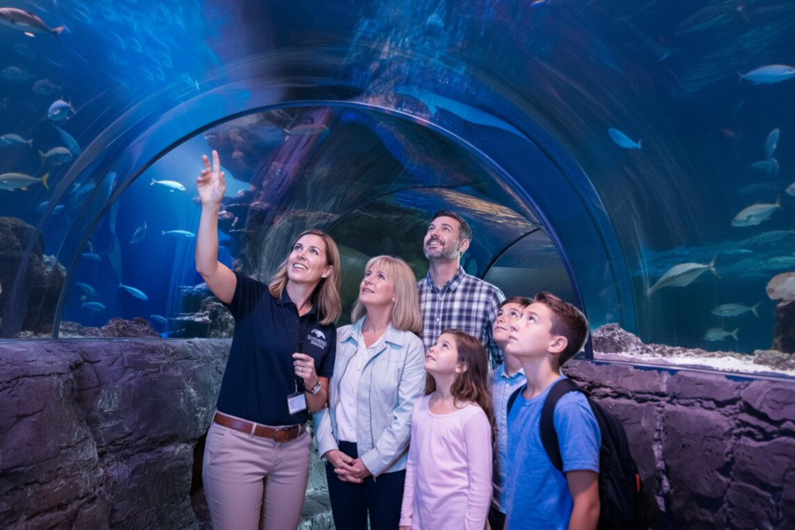 SEA LIFE Orlando Aquarium Tunnel