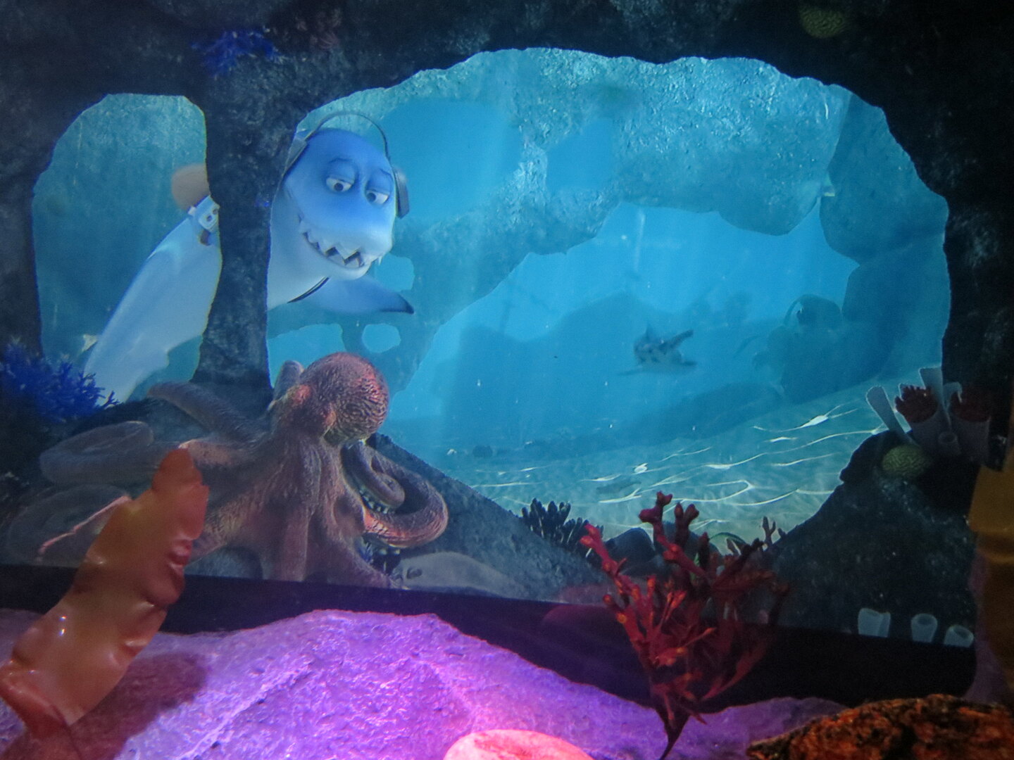 SEA LIFE Orlando Virtual Reality Manta Ray Experience